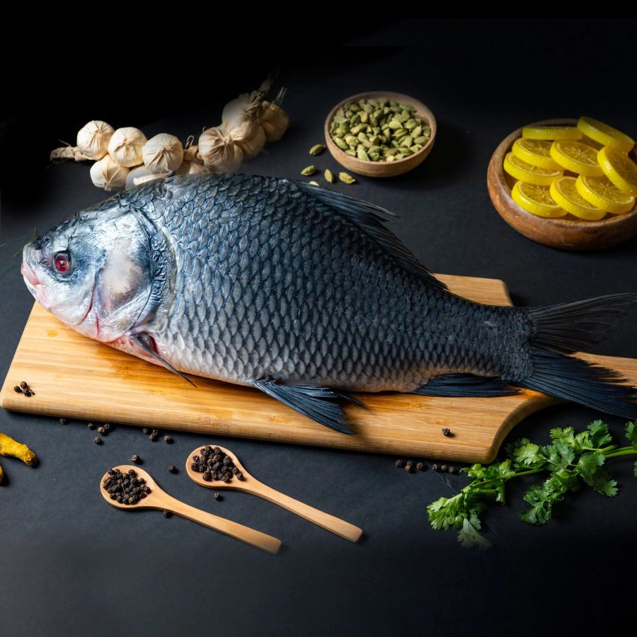 Catla Freshwater (Live)