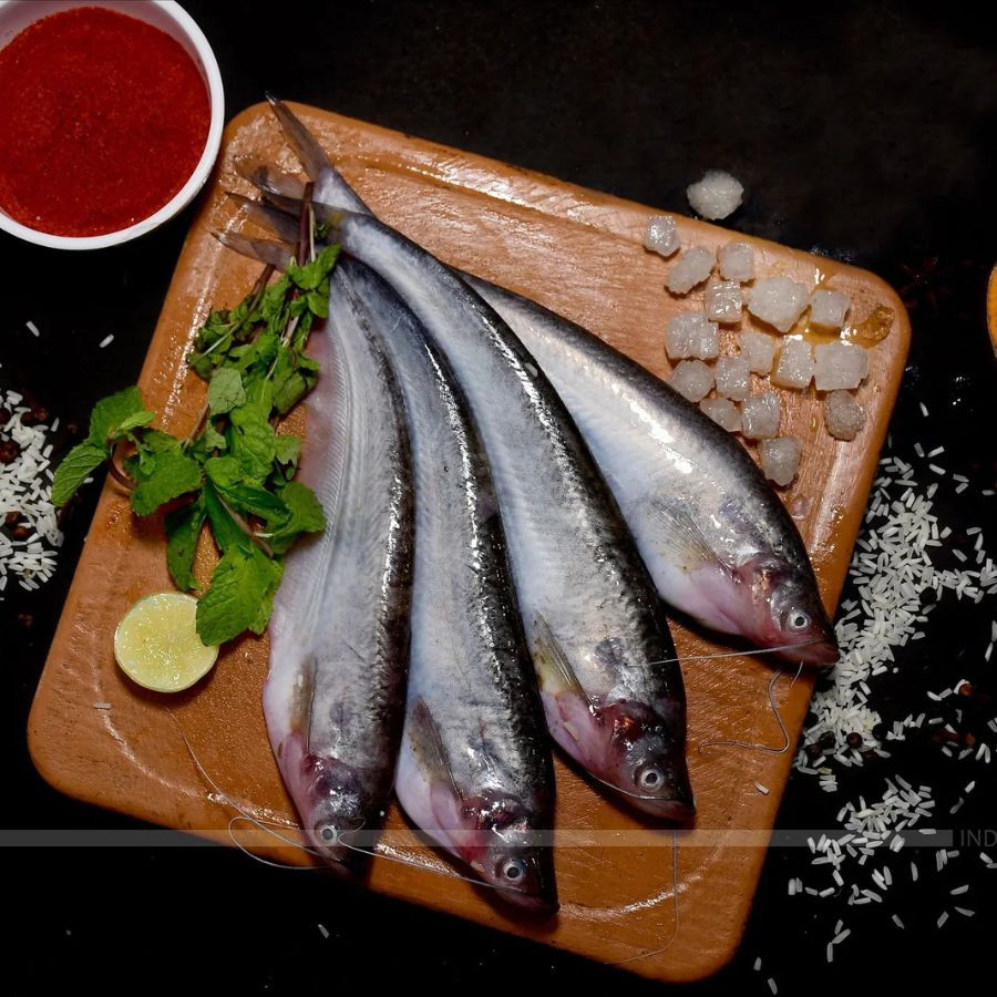 Pabda (Butterfish) medium- Whole Cleaned